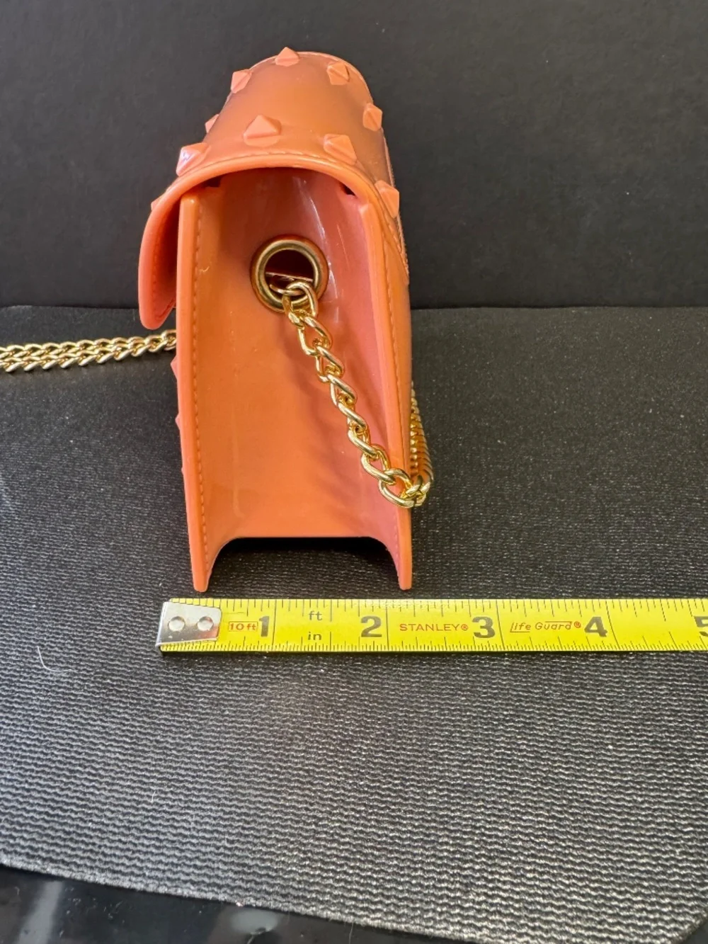 Coral Studded Mini Crossbody Bag Gold Chain Strap Small Purse Jelly